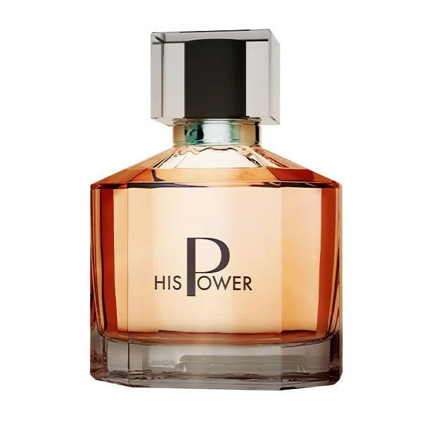 1000489_400.webp His Power Erkek Parfümü Edp 100 ml - Görsel 1